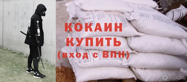 соль ск Алапаевск