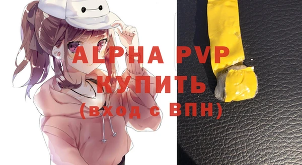 индика Михайлов