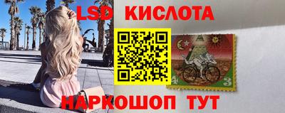 гидропоника Гусев