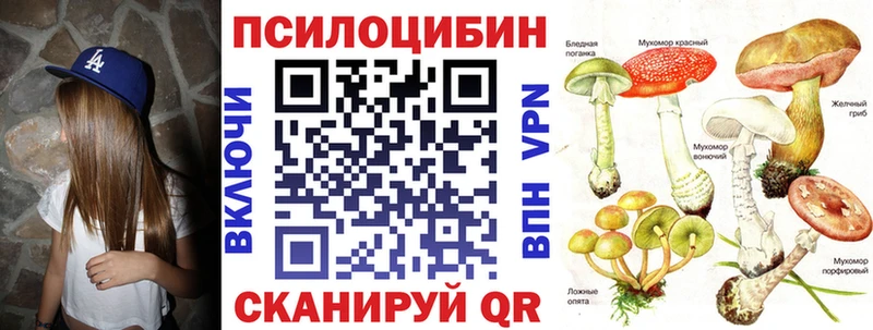 Галлюциногенные грибы прущие грибы  закладка  hydra ТОР  Ишим 
