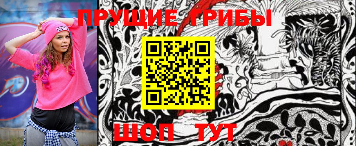 Ишим  Галлюциногенные грибы мицелий  Вход с VPN 