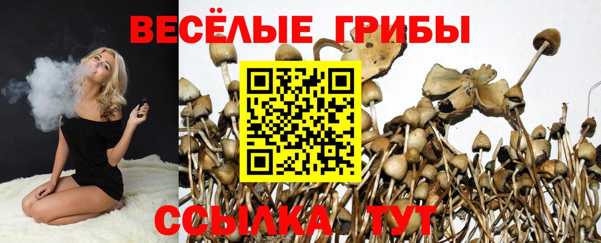 Галлюциногенные грибы мухоморы Ишим