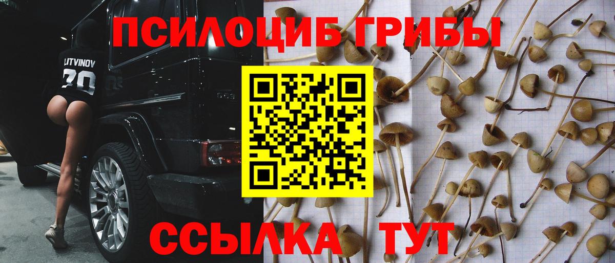 Кокаин  Ишим  ЛЁД  Вход с VPN  A PVP  ГАШИШ  Бошки Шишки  Меф  MDMA 