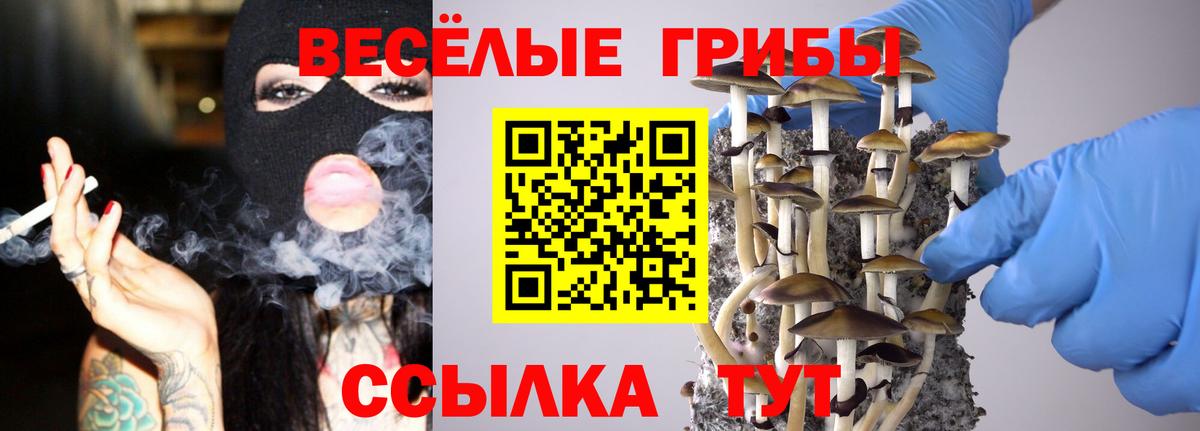 купить наркотики цена  Псилоцибиновые грибы Magic Shrooms  Ишим  Псилоцибиновые грибы мицелий 